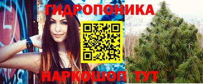 прущие крисы Заводоуковск