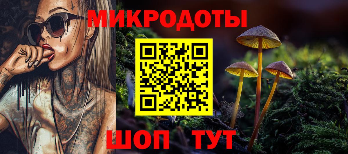 Псилоцибиновые грибы Psilocybine cubensis Петропавловск-Камчатский